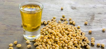 Best soybean oil exporter India